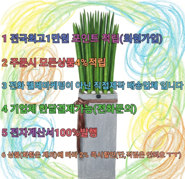 �����̹���