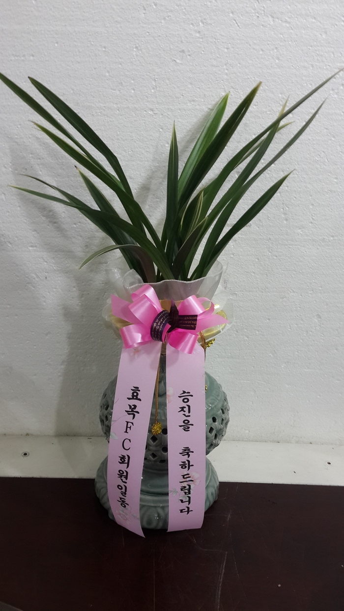 뱸 Ϻ 