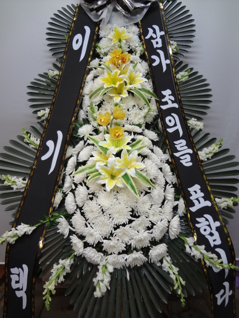  ǳ ƻ꺴