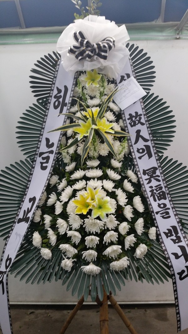  빮 