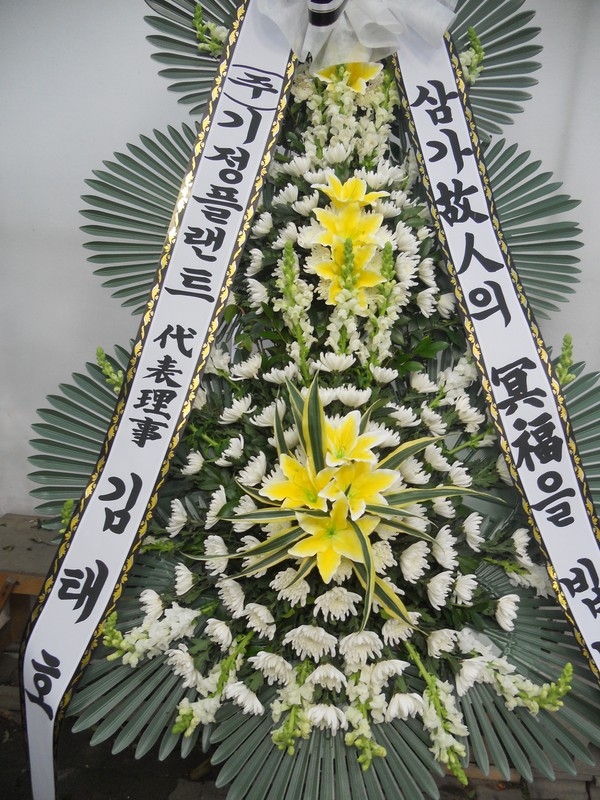  빮 ȸ⵿ Ƿ
