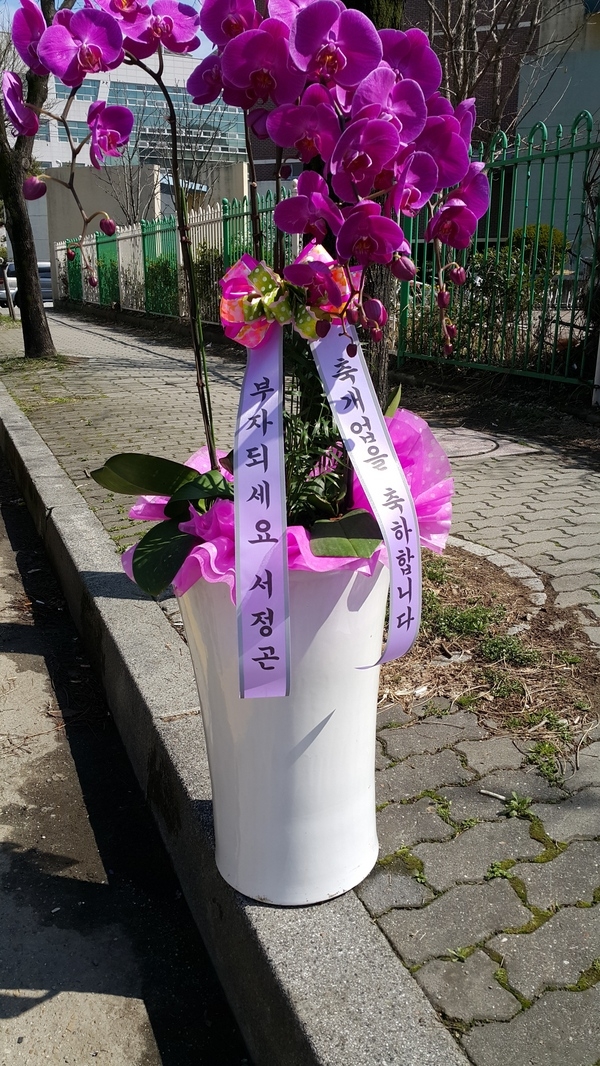 ֽ 걸 赿