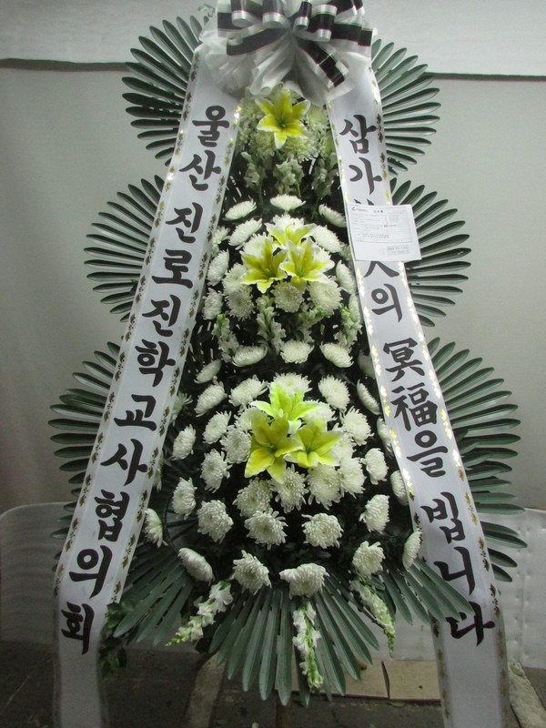  ƻ꺴