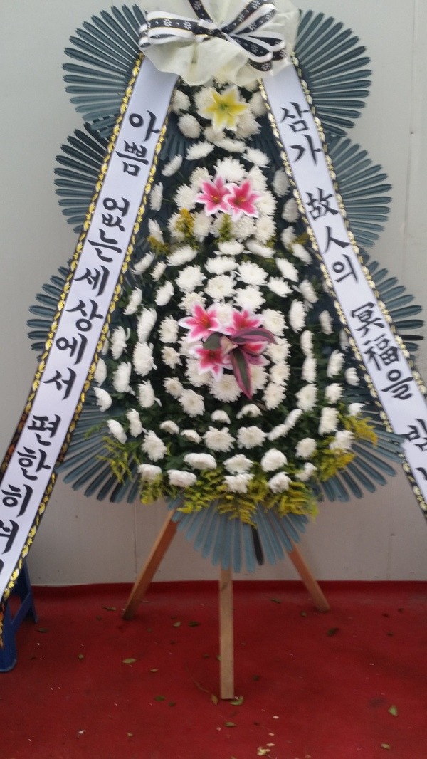  빮 ȵ ڸƺ