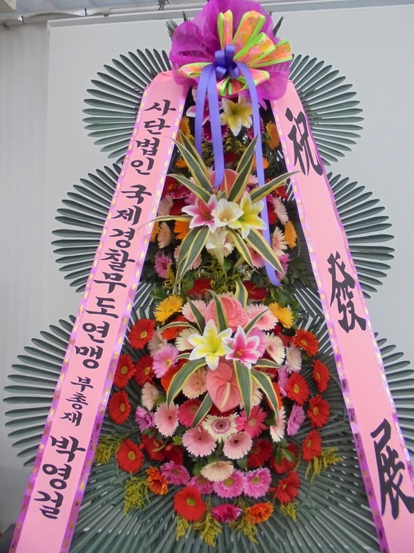  빮 ż