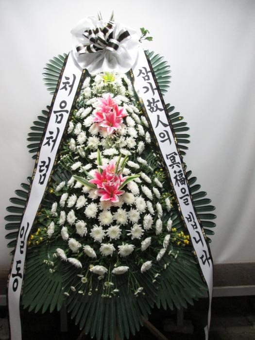 д 뺴 ʽ