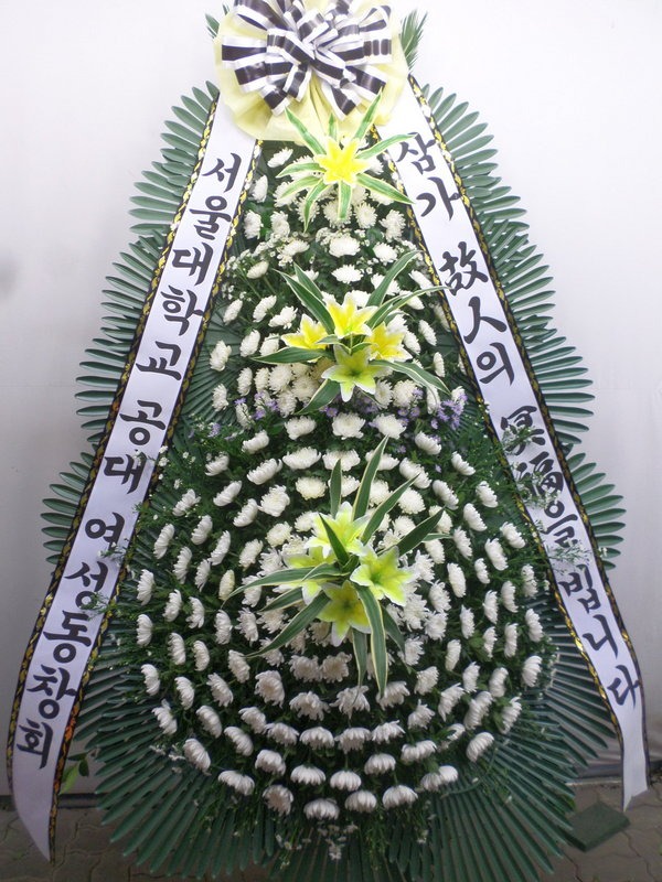  ƻ꺴