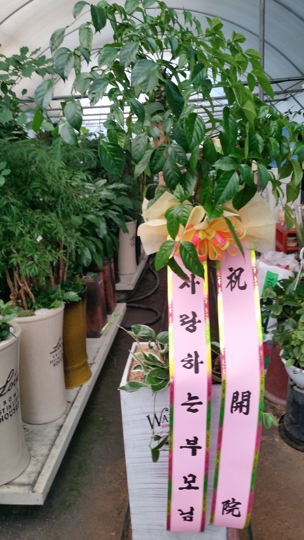 Ǹ10 뱸 ޼ ʾϷ ޵Į4 
