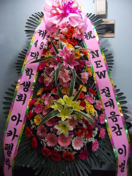   빮 50 