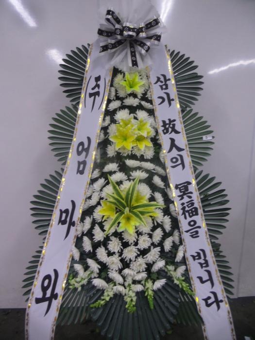 ƻ꺴ʽ ȭȯ