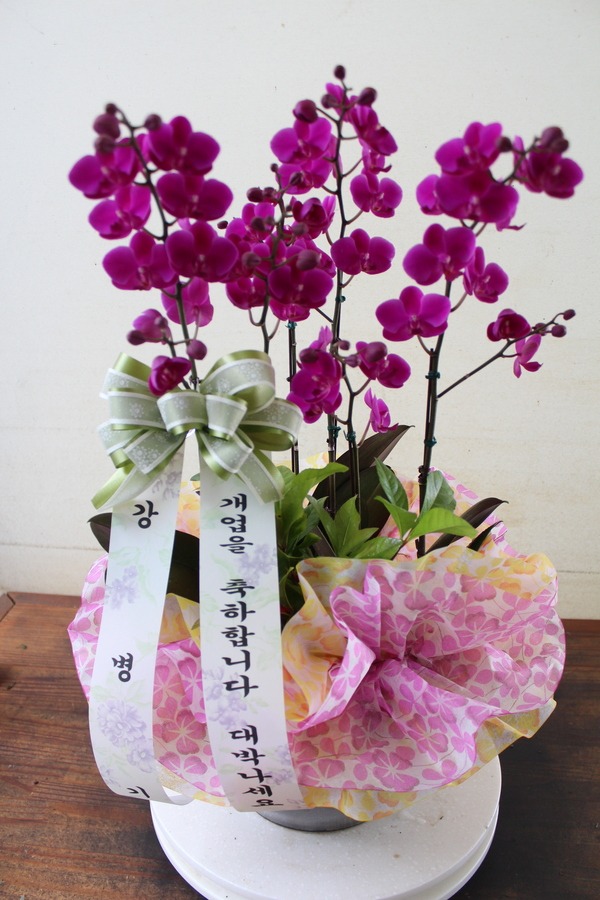 뵿