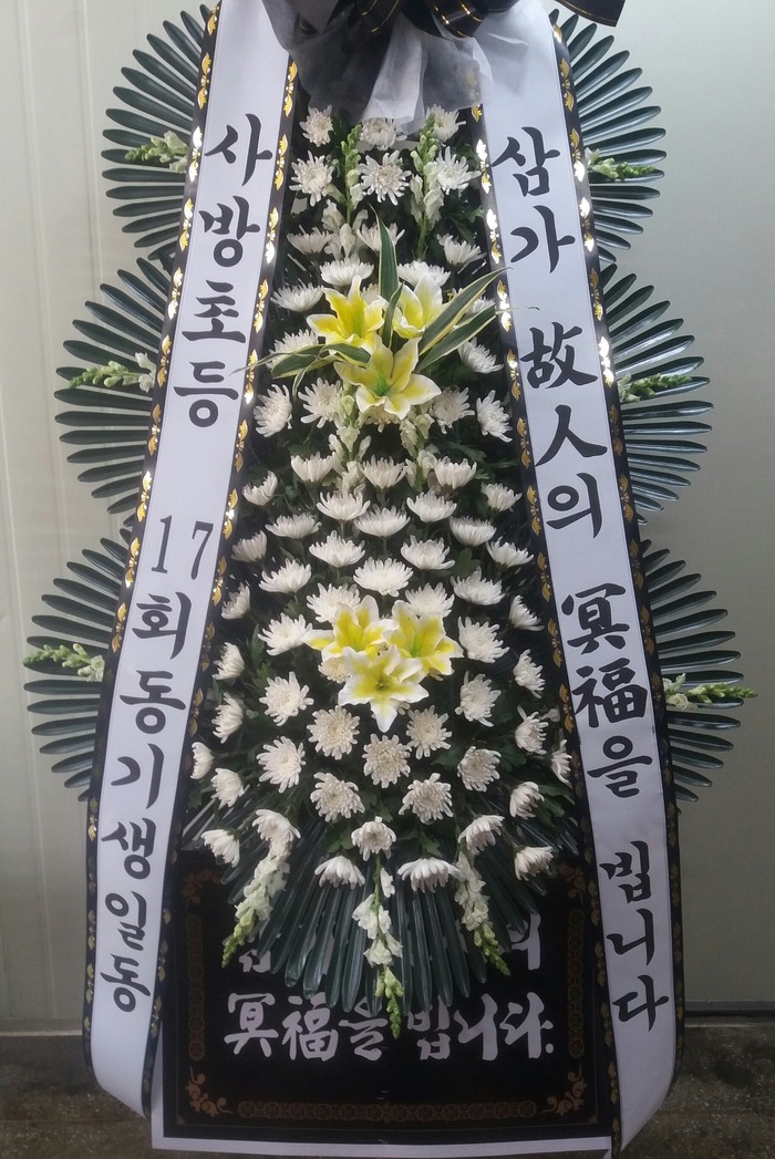 뱸Ƽʽȭȯ