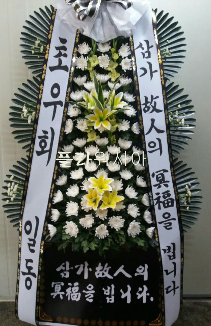 뱸Ƿ ȭȯ