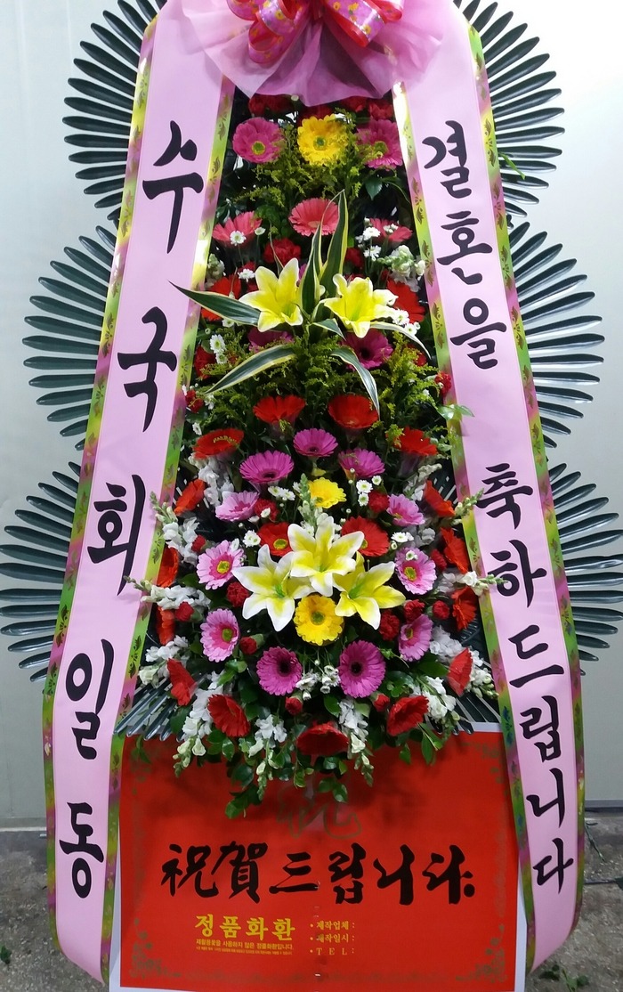 뱸˺ȭȯ