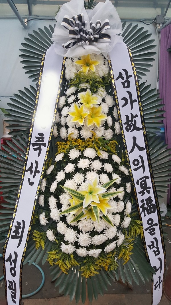 Ѿ뺴ȭȯ