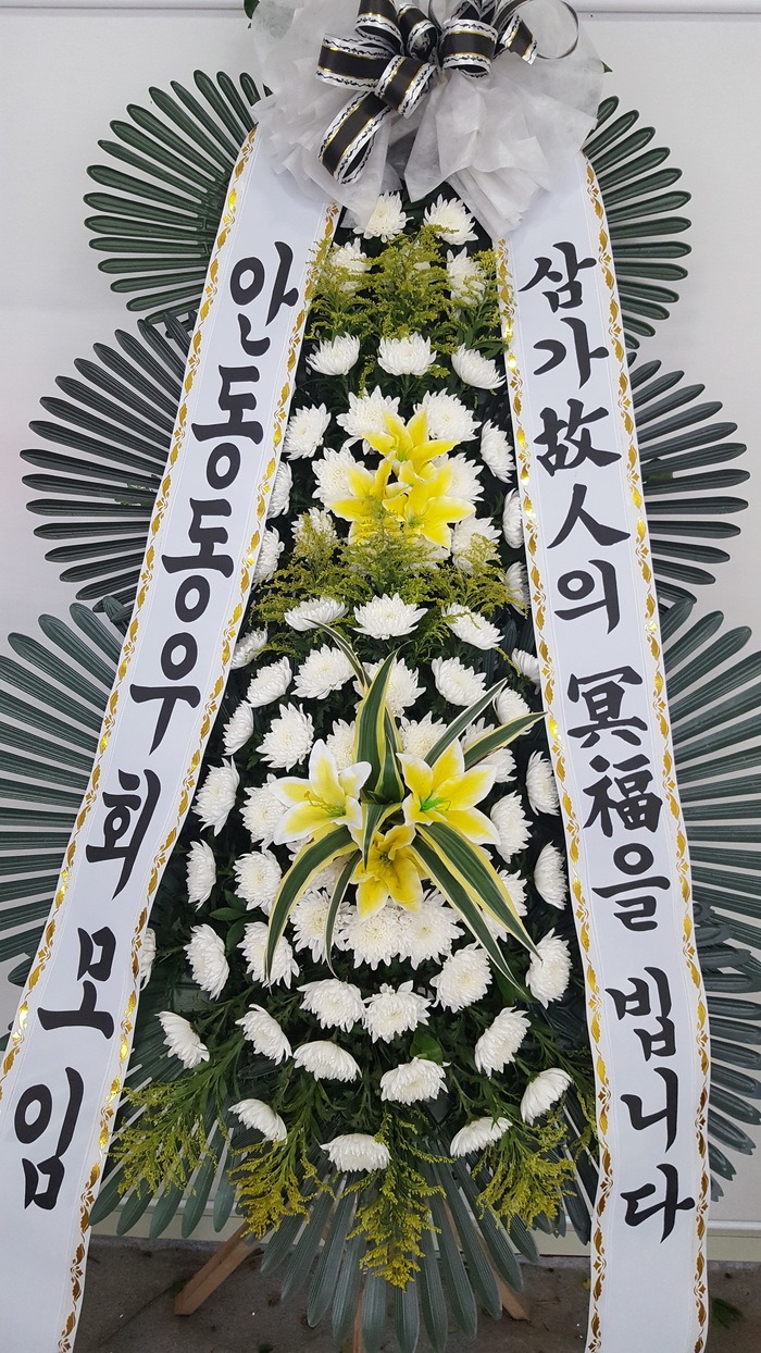 뺴ʽȭȯ