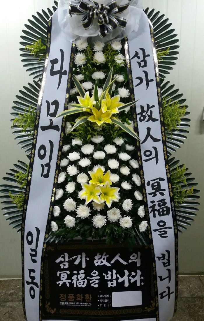 뱸ī縯ȭȯ