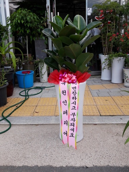 뱸 ϱ ȭй