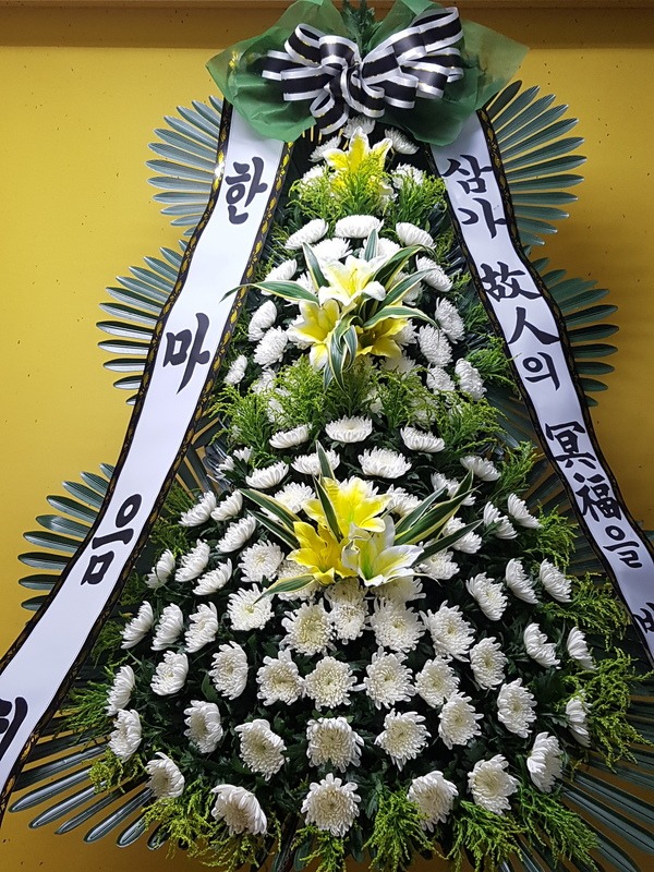 ָʽȭȯ