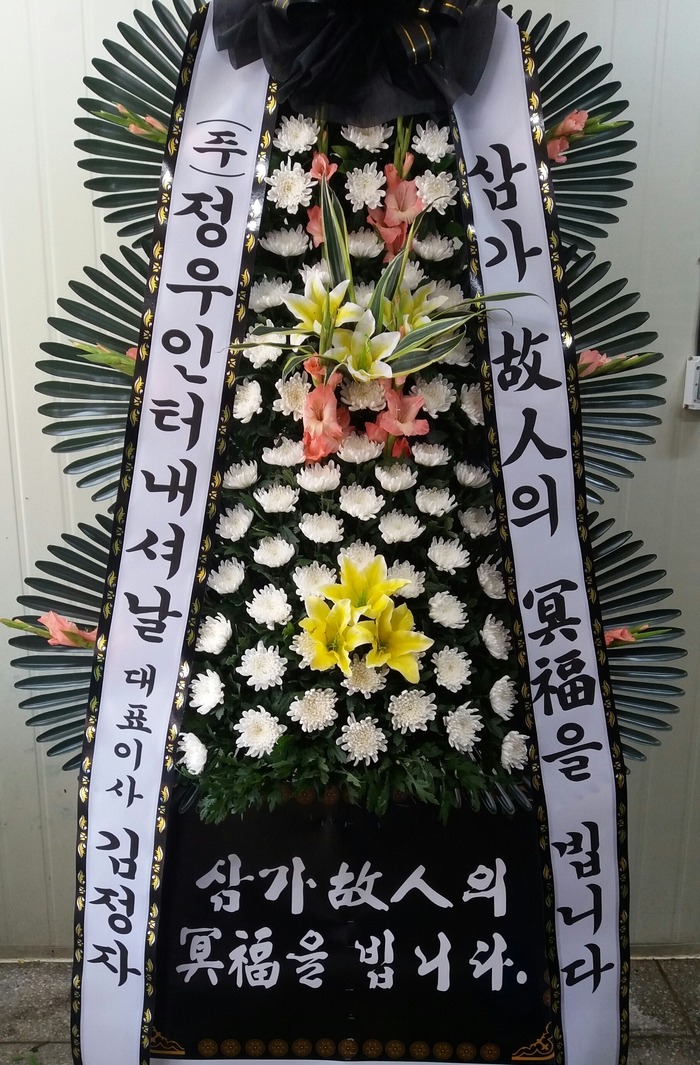 뱸ī縯ʽ