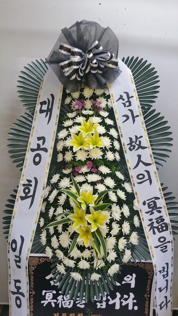 뱸纴ȭȯ