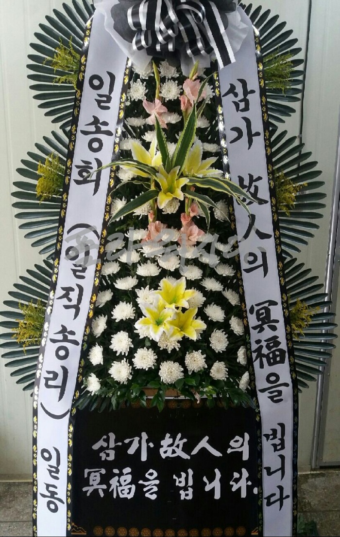 뱸Ƽʽȭȯ