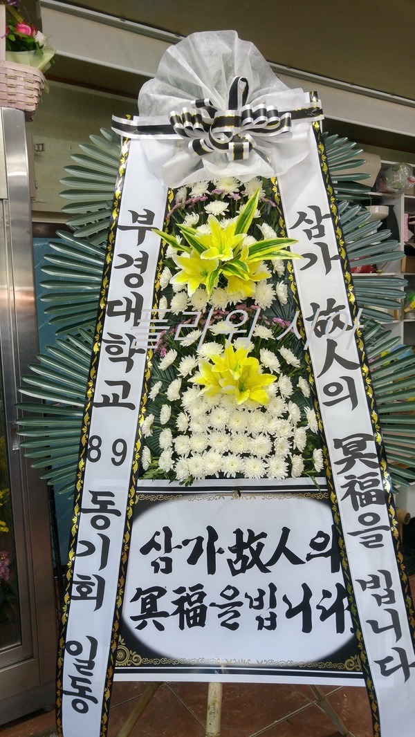 뿵ʽȭȯ