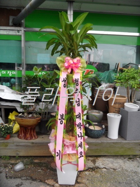 []λ곲**ȭй