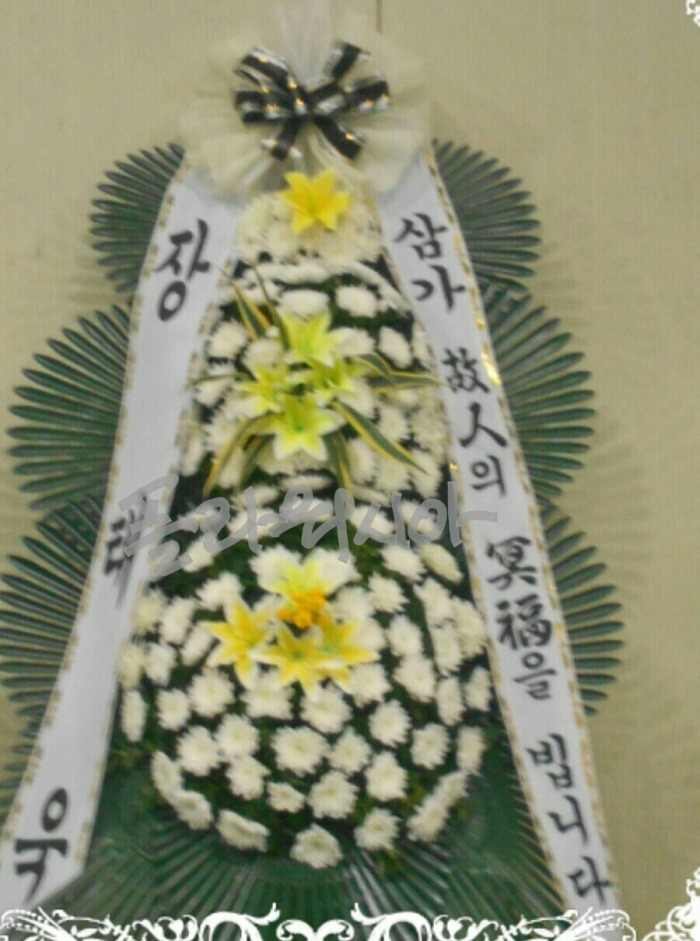 źʽȭȯ