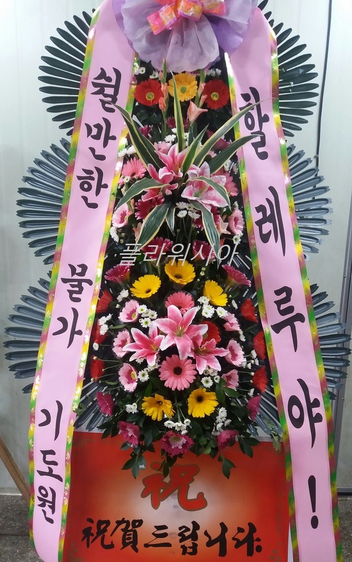 뱸**ȸ ȭȯ