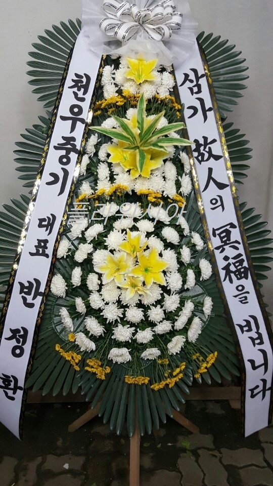 Ǳ뺴ʽȭȯ