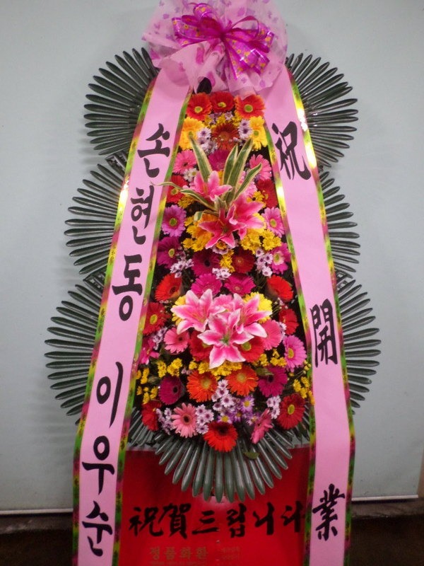 뱸**ȭȯ