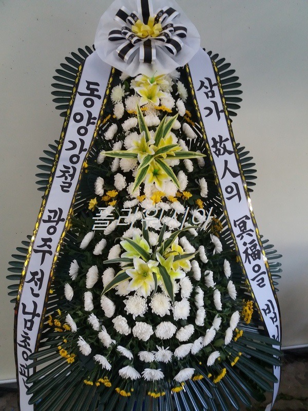 Ｚʽȭȯ
