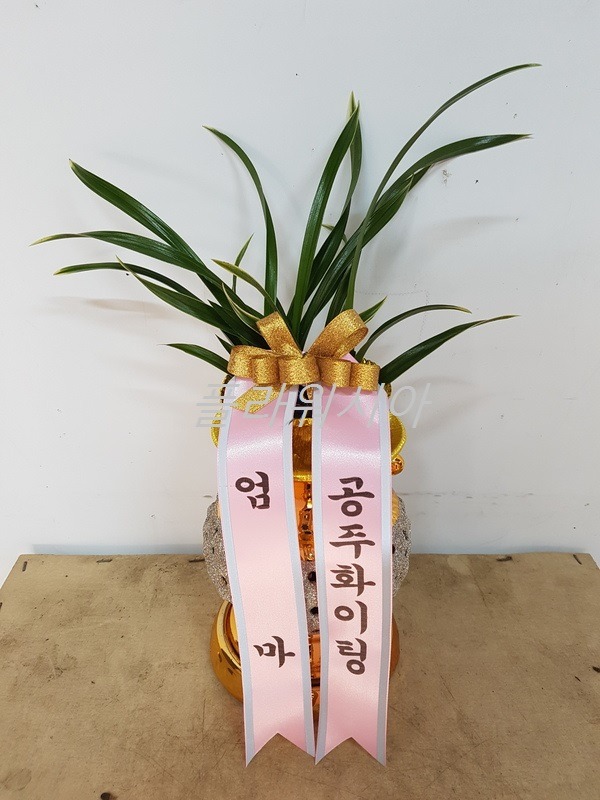 [뱹]ϳ