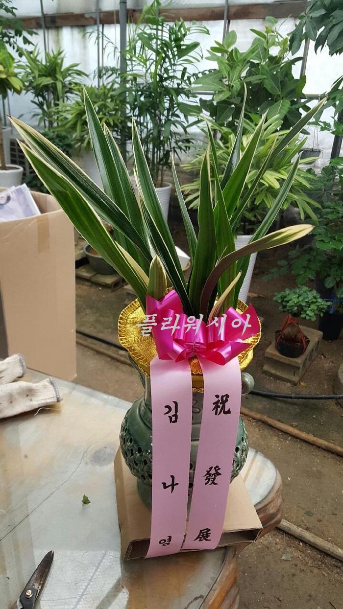 [¾]λ**ȸ簳ȭ