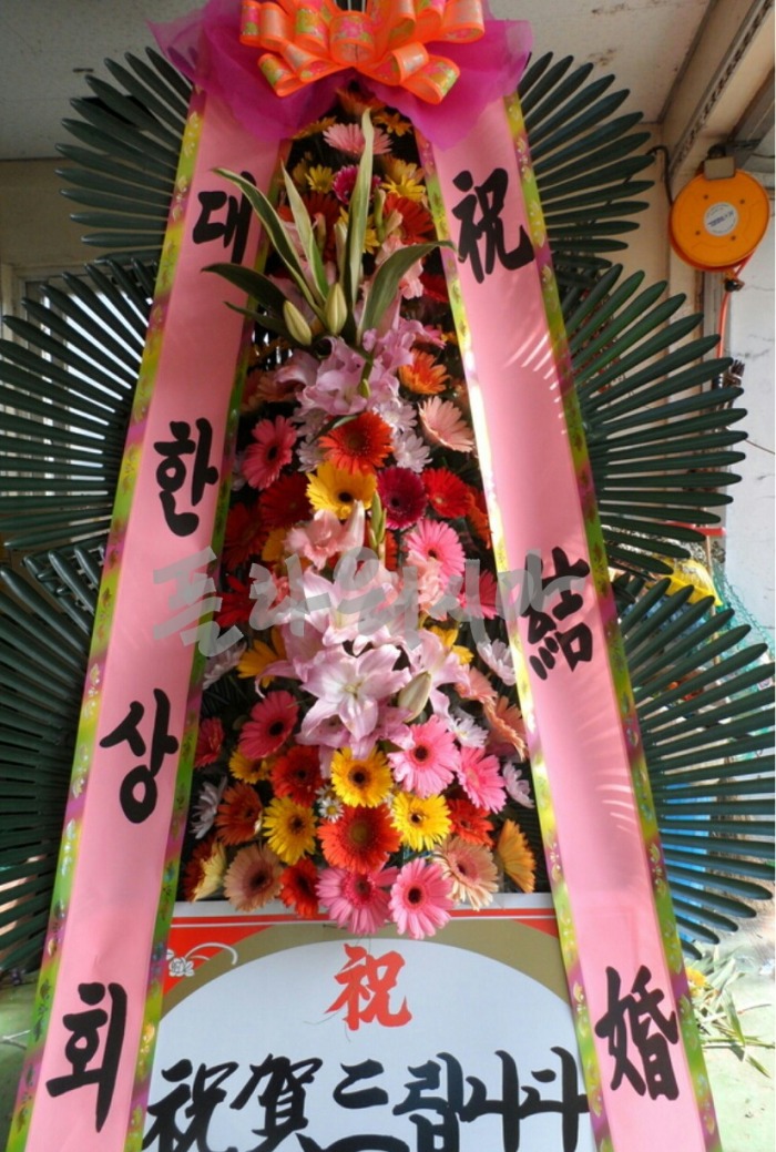 [ȥȭȯ]곲**Ȧ