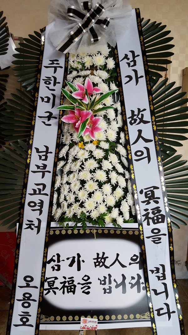 泲Ϻʽ