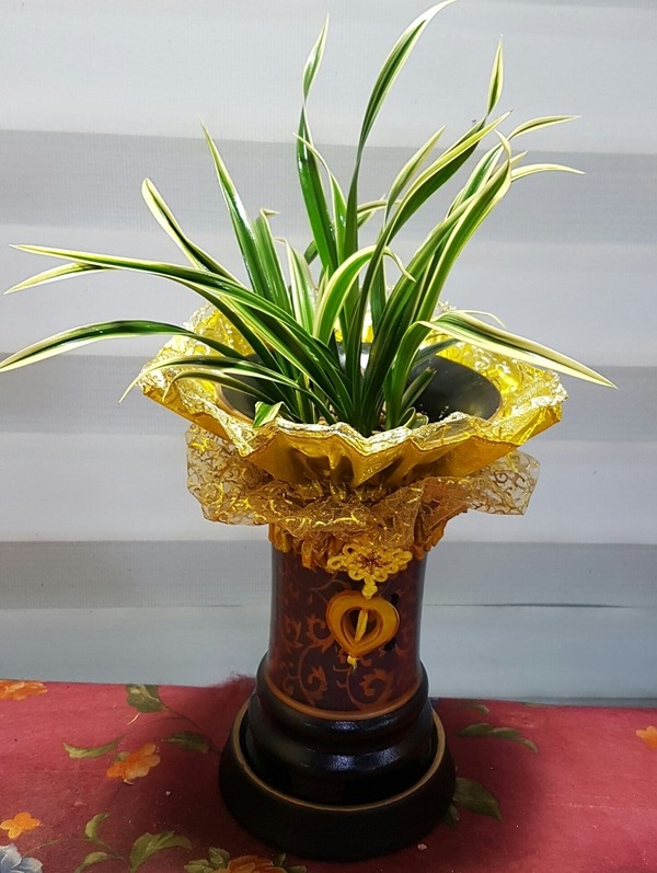 곲**