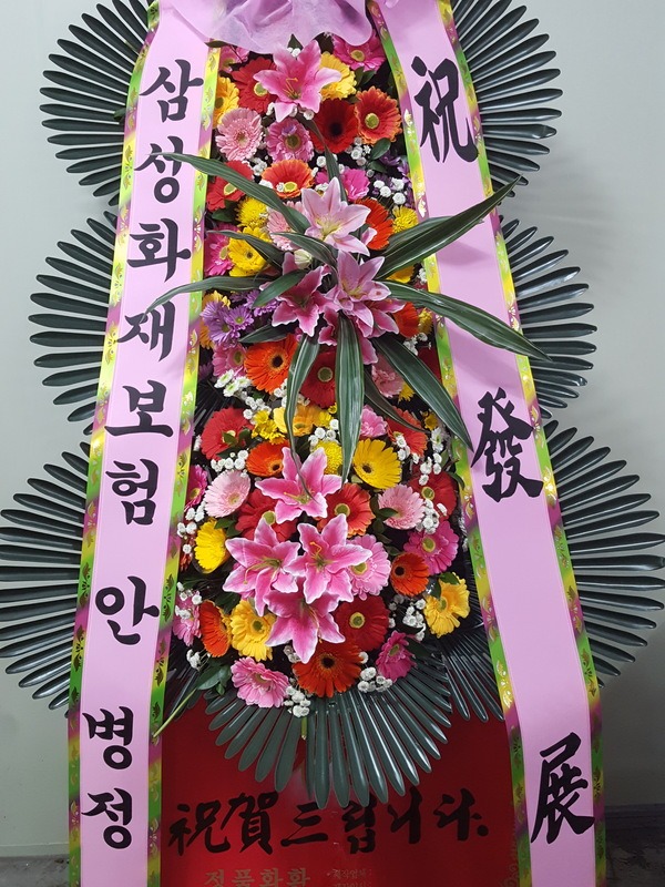 [ȭȯ]뱸**ȭȯ