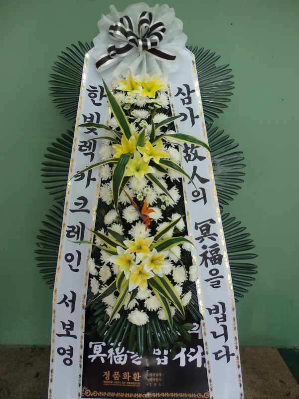 뱸Ƿȭȯ
