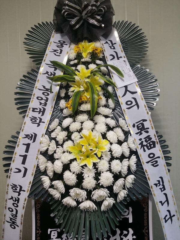 뱸ȿʽȭȯ