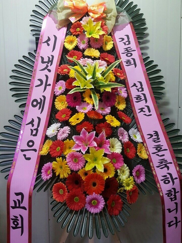 뱸 ̿Ȧ