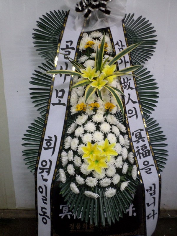 뱸Ƿ ȭ