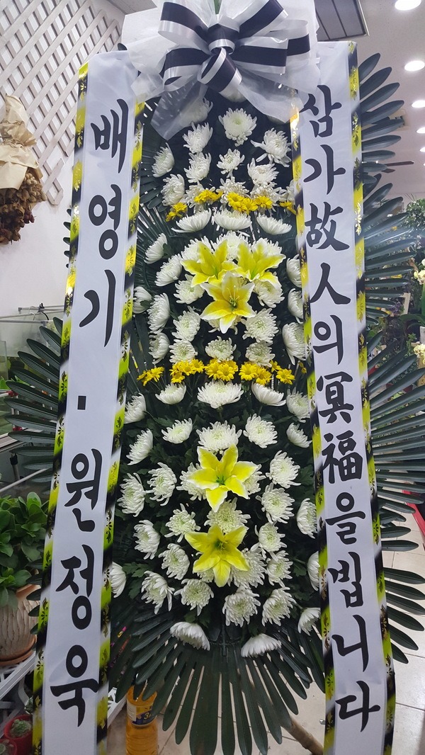 ݻ굿ʽȭȯ