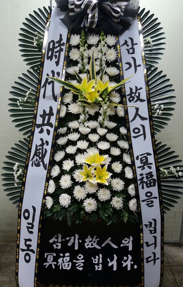 뱸Ѱʽȭȯ