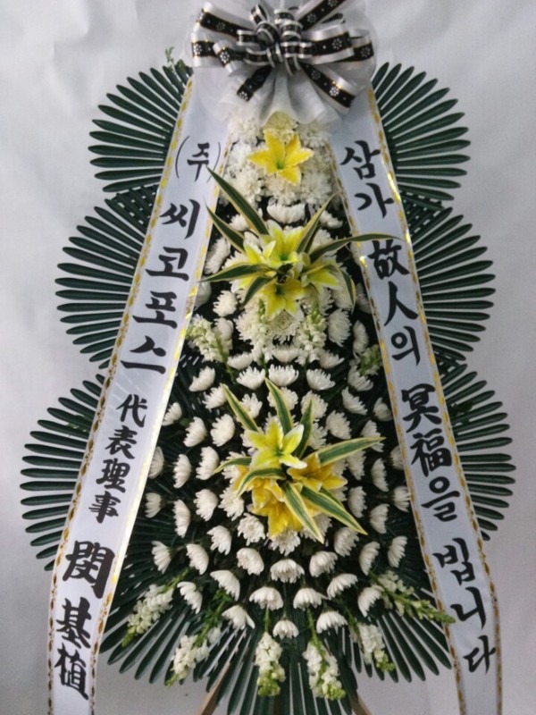 ƻ꺴ʽ