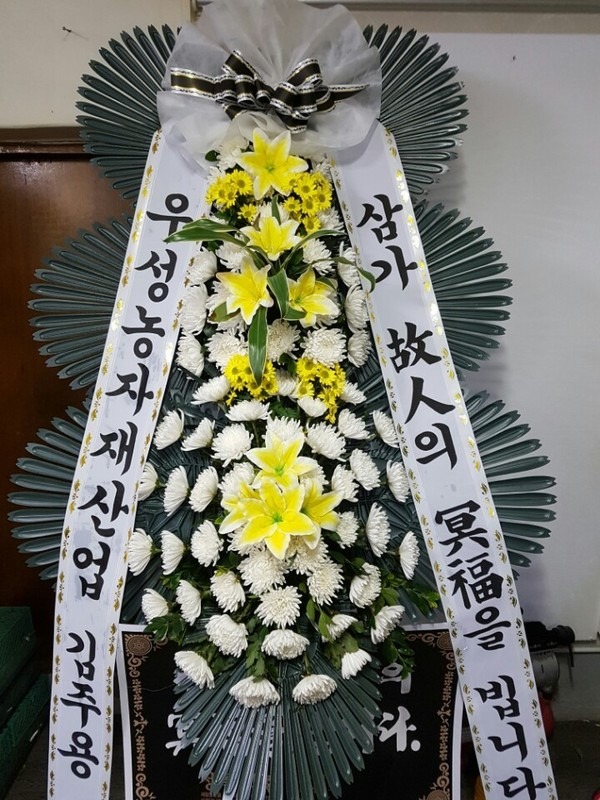 뱸ī縯
