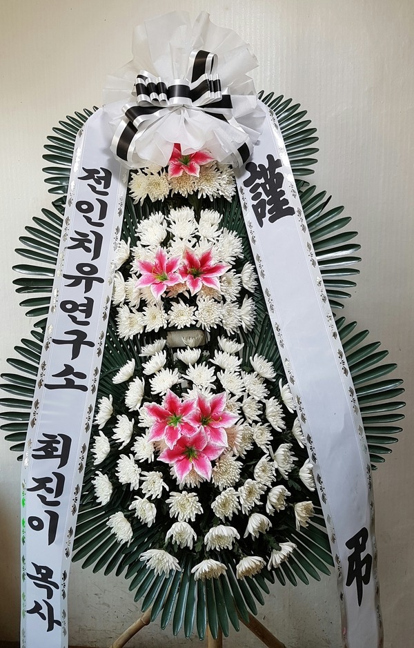 õѱ纴