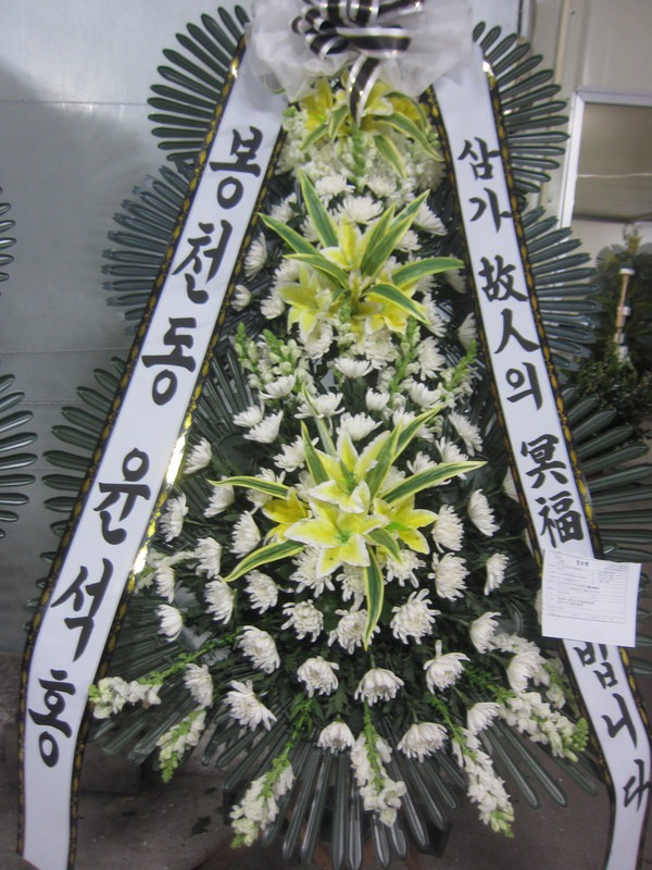 뺴ʽ