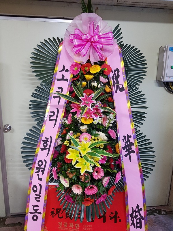 뱸**ȣڿȦ